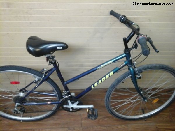 Vélo Leader Silhouette - StephaneLapointe.com