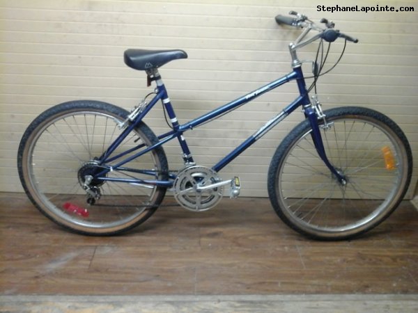 Vélo Venture Road Runner - StephaneLapointe.com