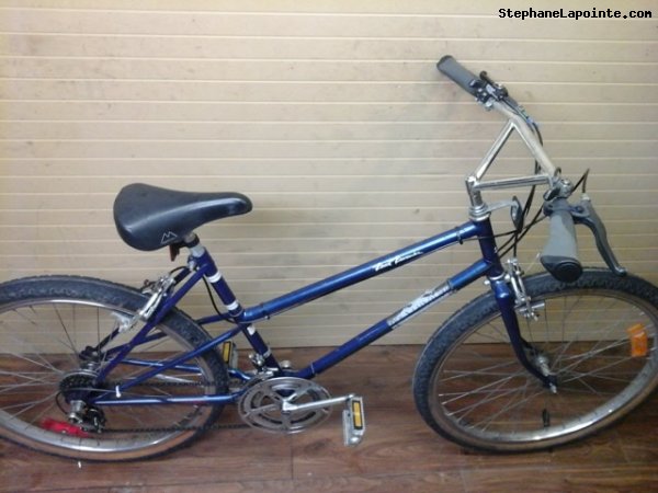 Vélo Venture Road Runner - StephaneLapointe.com
