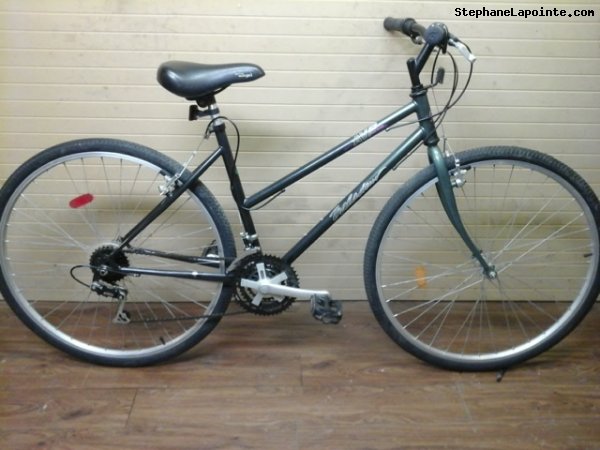 Vélo AVP Baladeur - StephaneLapointe.com