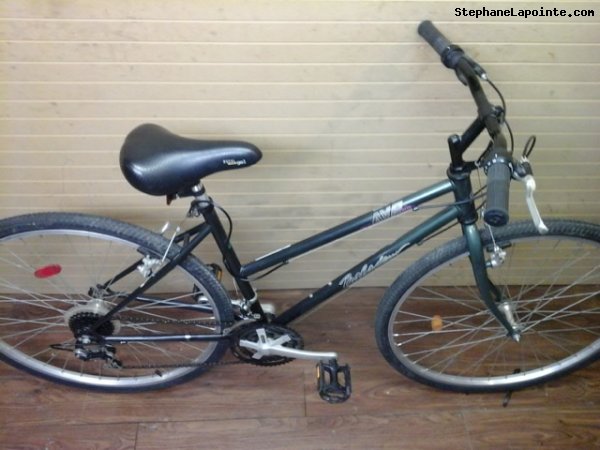 Vélo AVP Baladeur - StephaneLapointe.com