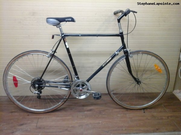 Vélo Raleigh Sport Racer - StephaneLapointe.com