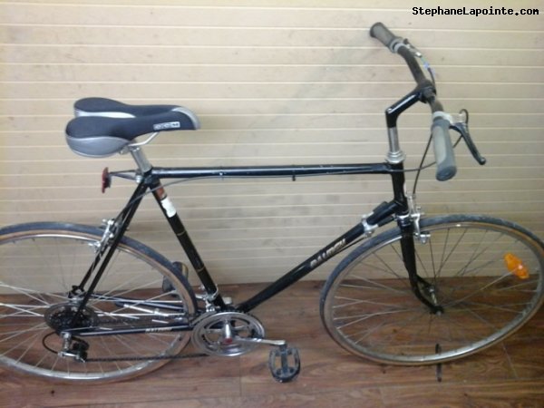 Vélo Raleigh Sport Racer - StephaneLapointe.com