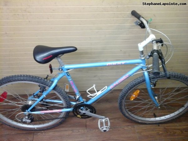 Vélo Raleigh Rocky - StephaneLapointe.com