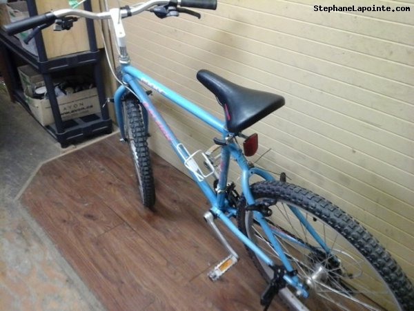 Vélo Raleigh Rocky - StephaneLapointe.com