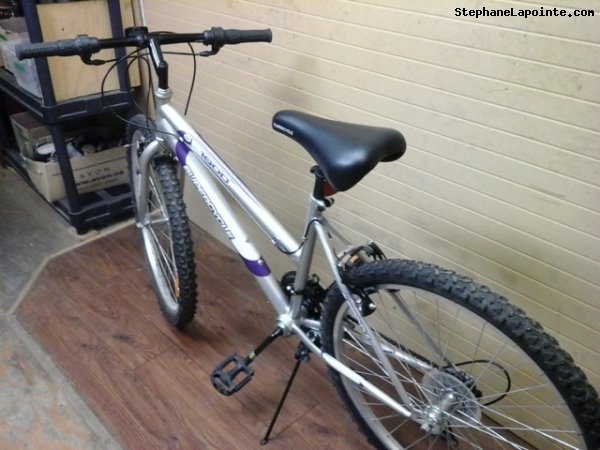 Vélo Supercycle SC1800 - StephaneLapointe.com
