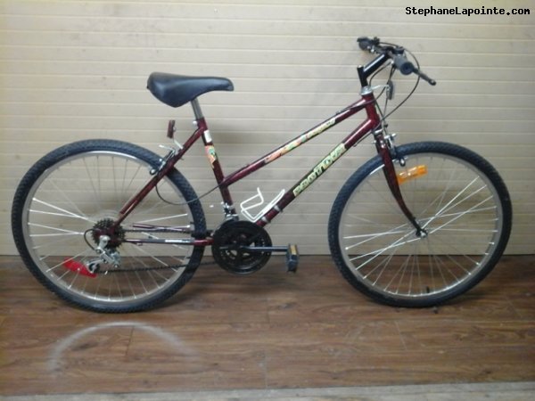 Vélo Pro Tour Cougar 18 - StephaneLapointe.com
