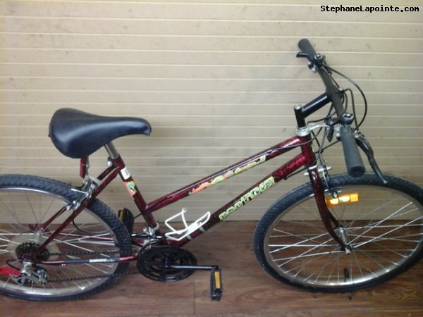 Vélo Pro Tour Cougar 18 - StephaneLapointe.com