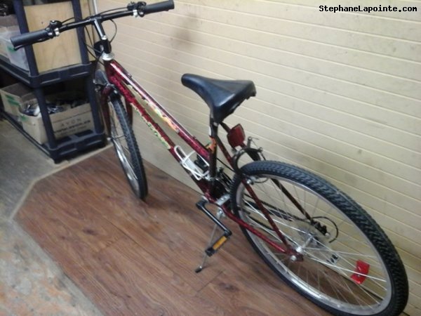 Vélo Pro Tour Cougar 18 - StephaneLapointe.com