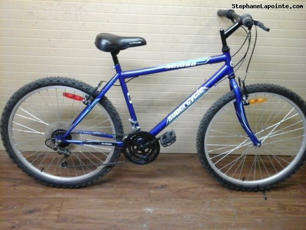 Vélo Supercycle SC1800 - StephaneLapointe.com