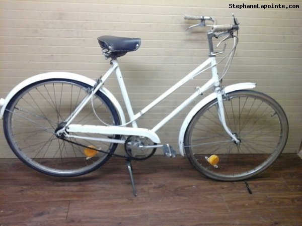 Vélo Raleigh Sports - StephaneLapointe.com
