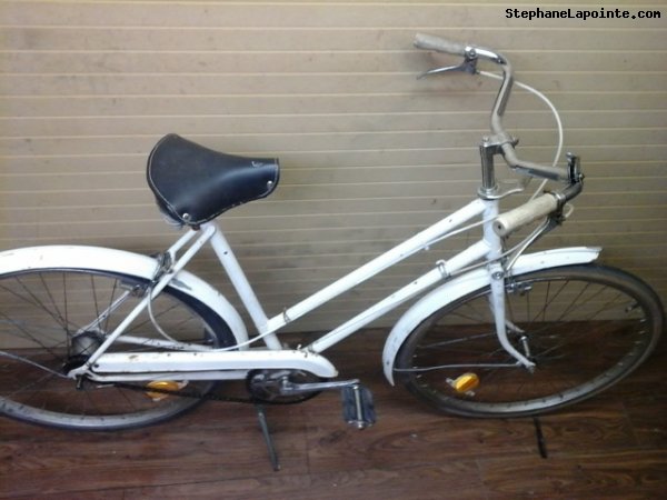 Vélo Raleigh Sports - StephaneLapointe.com