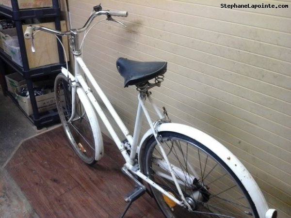 Vélo Raleigh Sports - StephaneLapointe.com