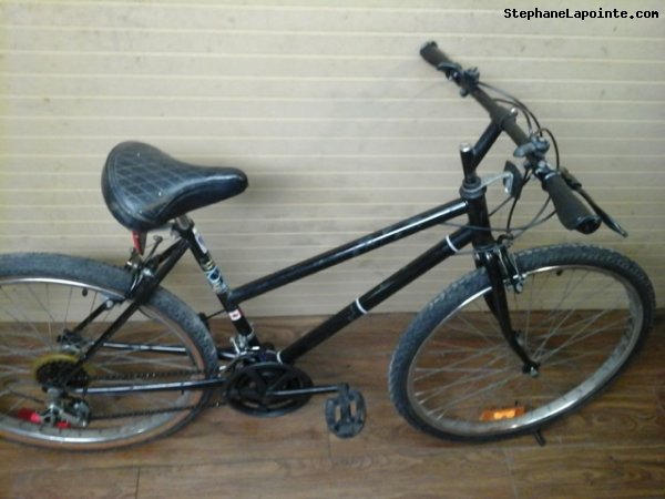 Vélo Free Spirit Mirage - StephaneLapointe.com