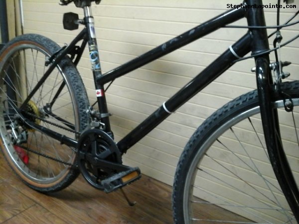 Vélo Free Spirit Mirage - StephaneLapointe.com