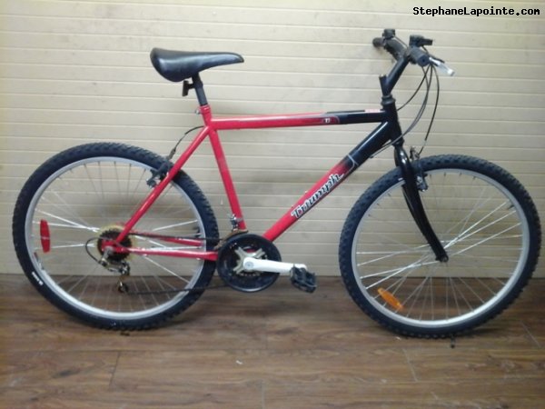Vélo Triumph Challenger - StephaneLapointe.com