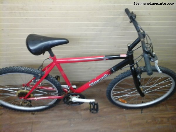 Vélo Triumph Challenger - StephaneLapointe.com