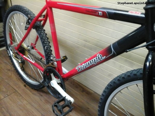 Vélo Triumph Challenger - StephaneLapointe.com