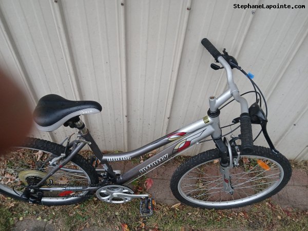 Vélo Infinity Huron - StephaneLapointe.com