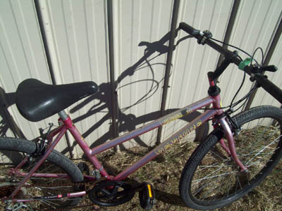 Vélo Venture Roadrunner 12 - StephaneLapointe.com
