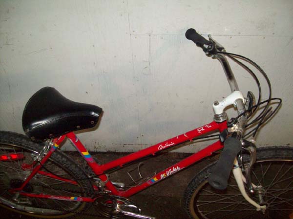 Vélo McKinley Aventurier - StephaneLapointe.com