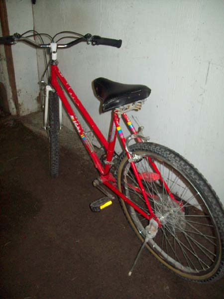 Vélo McKinley Aventurier - StephaneLapointe.com