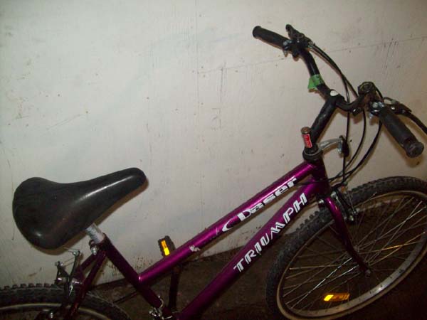 Vélo Triumph Laser - StephaneLapointe.com