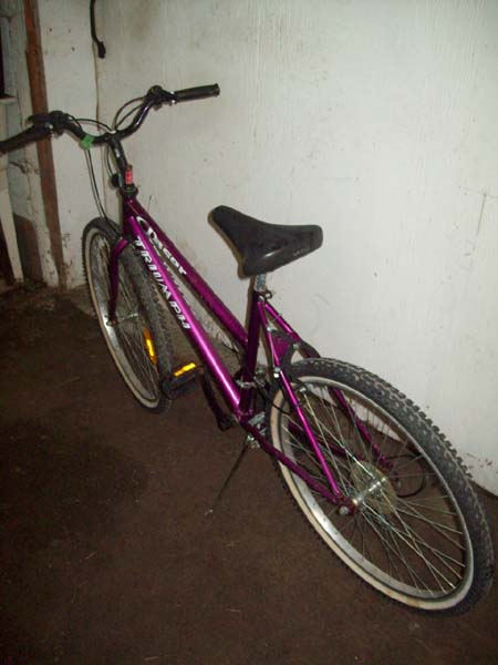 Vélo Triumph Laser - StephaneLapointe.com