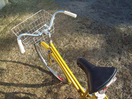 Vélo Rapido Streamline - StephaneLapointe.com