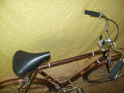 Vélo Free Spirit Grand Touring - StephaneLapointe.com