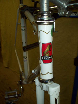 Vélo Peugeot frame for fix gear - StephaneLapointe.com