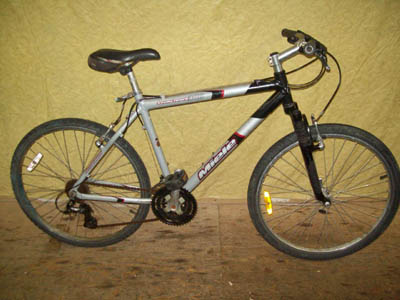 Vélo Miele Twin Track 300 - StephaneLapointe.com
