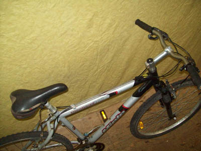 Vélo Miele Twin Track 300 - StephaneLapointe.com