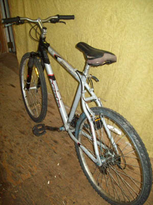 Vélo Miele Twin Track 300 - StephaneLapointe.com