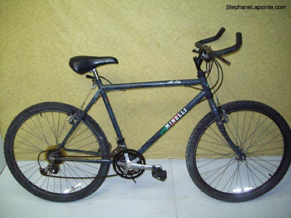 Vélo Minelli Mt Echo - StephaneLapointe.com