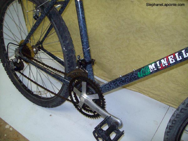 Vélo Minelli Mt Echo - StephaneLapointe.com