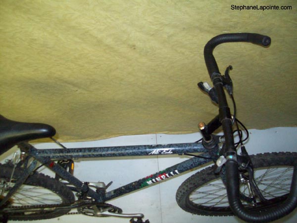 Vélo Minelli Mt Echo - StephaneLapointe.com