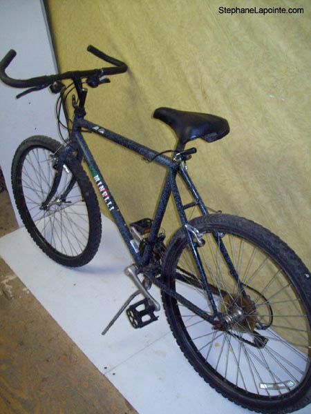Vélo Minelli Mt Echo - StephaneLapointe.com