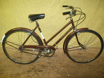 Vélo Raleigh Sports - StephaneLapointe.com