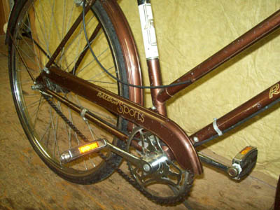 Vélo Raleigh Sports - StephaneLapointe.com
