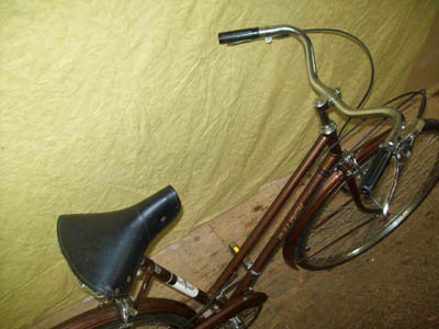 Vélo Raleigh Sports - StephaneLapointe.com