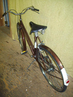 Vélo Raleigh Sports - StephaneLapointe.com