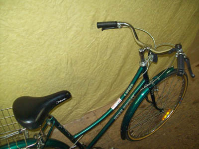 Vélo Free Spirit FS300 - StephaneLapointe.com