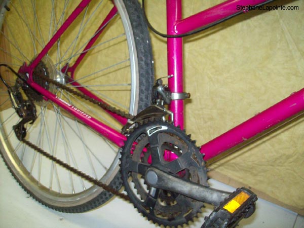 Vélo Pro Tour Nouveau - StephaneLapointe.com