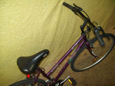 Vélo Minelli Promenade - StephaneLapointe.com