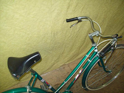 Vélo Rapido Olympic - StephaneLapointe.com