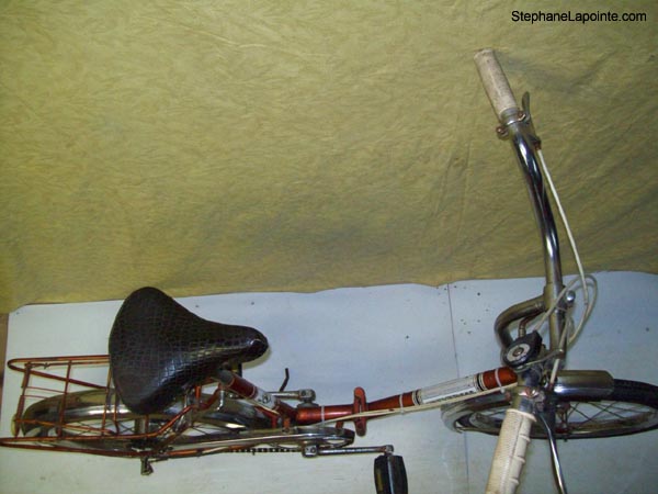 Vélo Universal  - StephaneLapointe.com