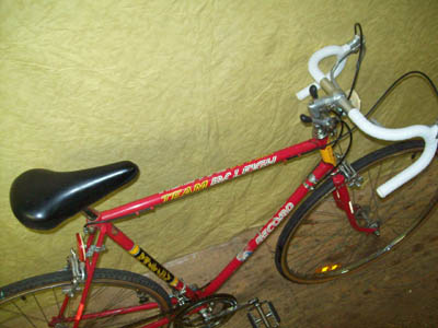 Vélo Raleigh Record - Team Raleigh - StephaneLapointe.com