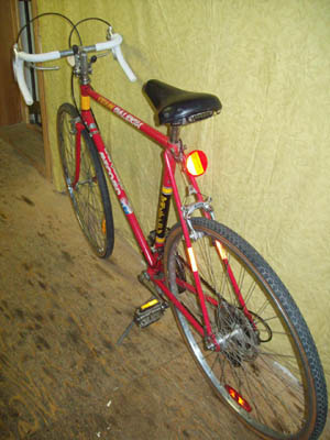 Vélo Raleigh Record - Team Raleigh - StephaneLapointe.com