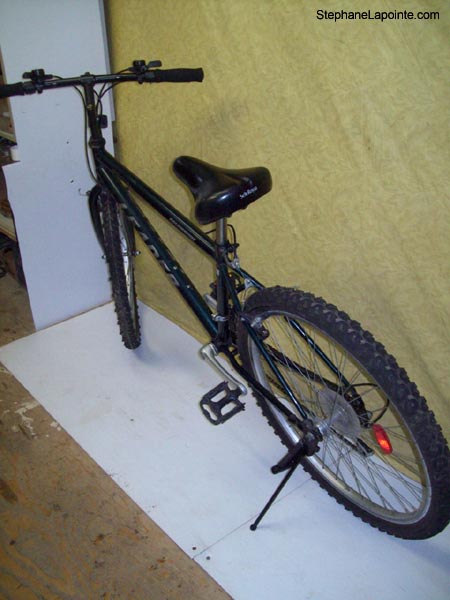Vélo Leader Mondial - StephaneLapointe.com